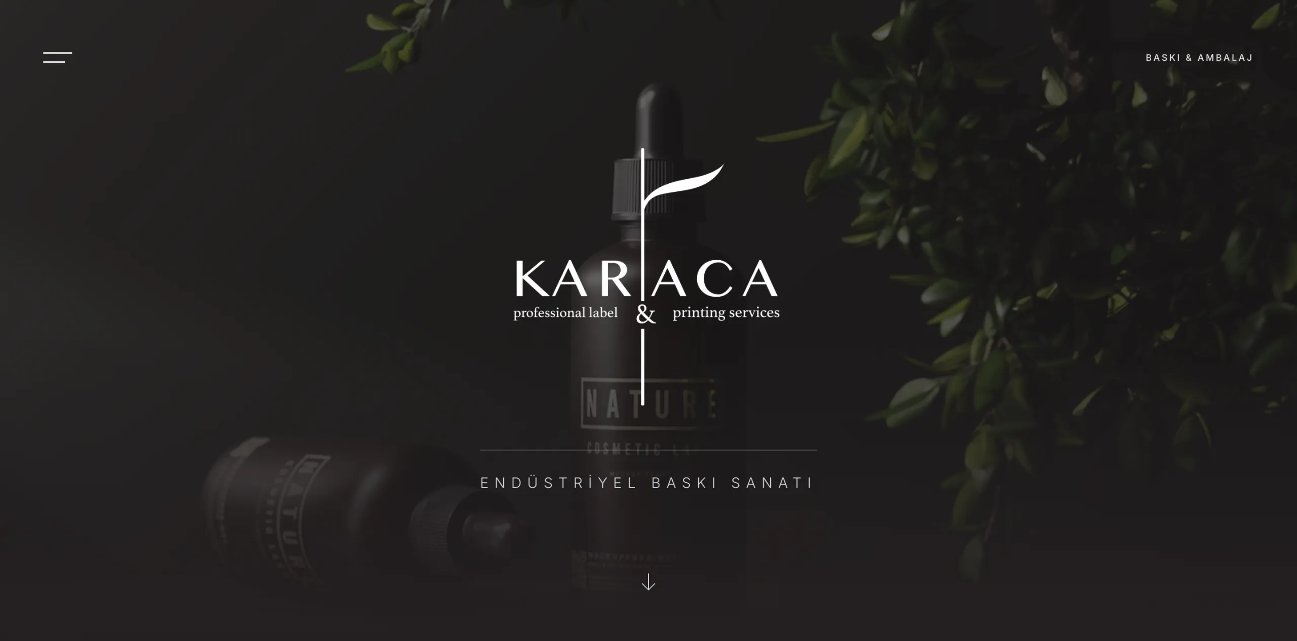 Bafra Vinç Kiralama web sitesi - WordPress kurumsal site